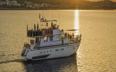 Dream of Turtles ST Georgios II rejs poranny z Protaras - marzenie zobaczyć żółwie dla rodzin