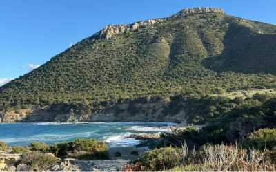 Marathon Jeep Safari - Narodowy Park Akamas z Pafos