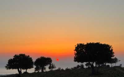 Z Pafos do wąwozu Avakas Kanyon Mini Marathon