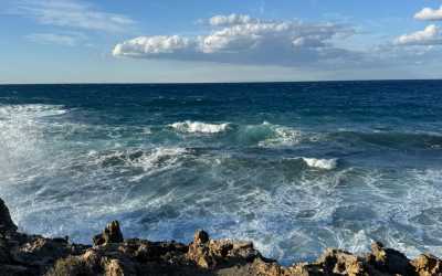 Z Pafos do wąwozu Avakas Kanyon Mini Marathon