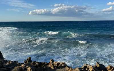 Marathon [41] Jeep Safari - Narodowy Park Akamas z Cypru Północnego