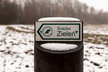 Uniejów