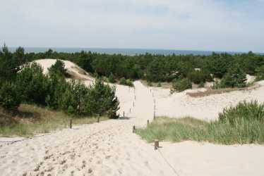 Nowęcin